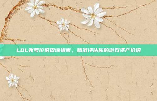 LOL账号价值查询指南，精准评估你的游戏资产价值