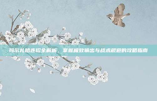 玛尔扎哈连招全解析，掌握极致输出与战术规避的攻略指南