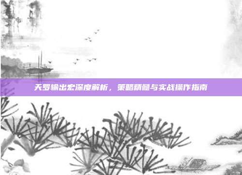 天罗输出宏深度解析，策略精髓与实战操作指南