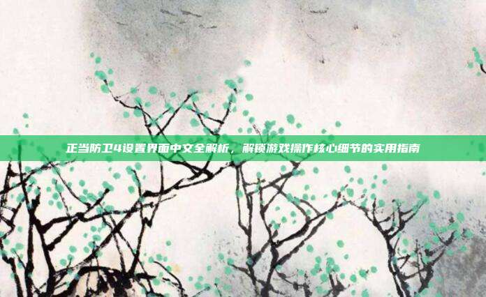 正当防卫4设置界面中文全解析，解锁游戏操作核心细节的实用指南