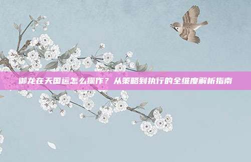 御龙在天国运怎么操作?从策略到执行的全维度解析指南