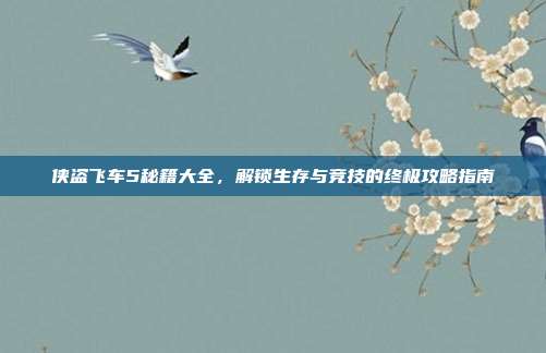 侠盗飞车5秘籍大全，解锁生存与竞技的终极攻略指南
