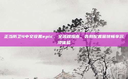 正当防卫4中文设置epic，全流程指南，告别配置困扰畅享沉浸体验