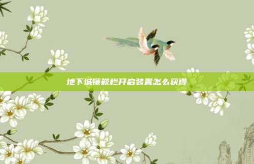 地下城镶嵌栏开启装置怎么获得