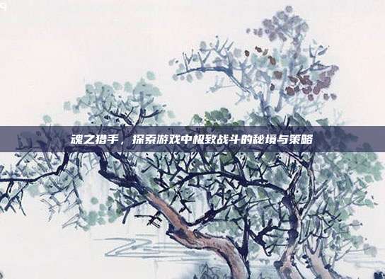 魂之猎手，探索游戏中极致战斗的秘境与策略
