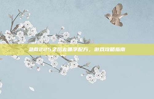 急救225之后去哪学配方,游戏攻略指南