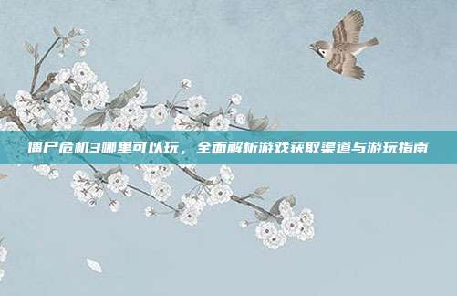 僵尸危机3哪里可以玩,全面解析游戏获取渠道与游玩指南