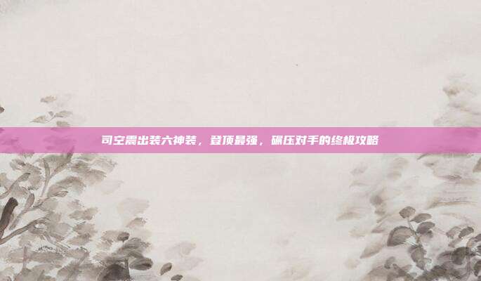 司空震出装六神装,登顶最强,碾压对手的终极攻略