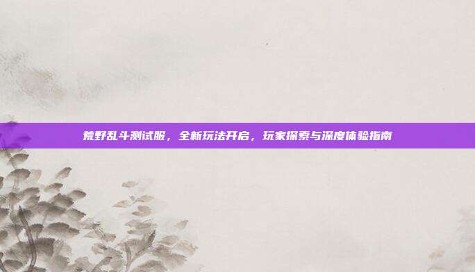 荒野乱斗测试服，全新玩法开启，玩家探索与深度体验指南
