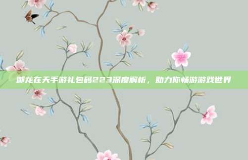 御龙在天手游礼包码223深度解析，助力你畅游游戏世界