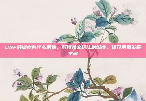 DNF好感度有什么用处,解锁社交玩法新维度,提升角色发展空间