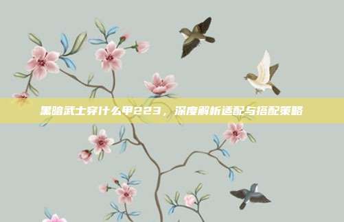 黑暗武士穿什么甲223,深度解析适配与搭配策略