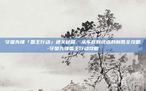 守望先锋「国王行动」通关秘籍，从车底到终点的制胜全攻略-守望先锋国王行动攻略