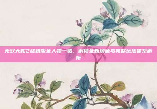 无双大蛇2终极版全人物一览，解锁全新角色与完整玩法体系解析