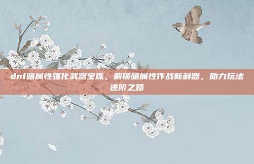 dnf暗属性强化武器宝珠，解锁暗属性作战新利器，助力玩法进阶之路