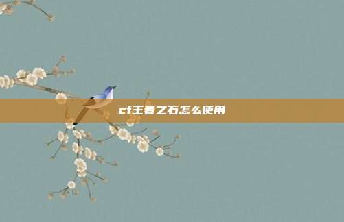 cf王者之石怎么使用