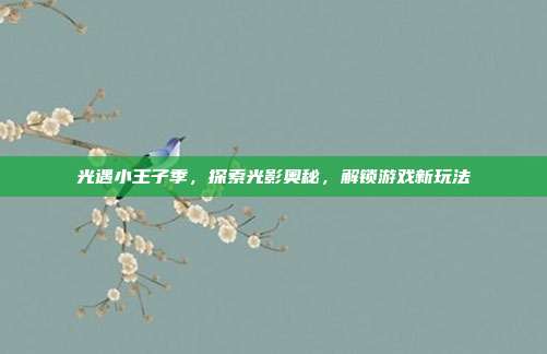 光遇小王子季，探索光影奥秘，解锁游戏新玩法