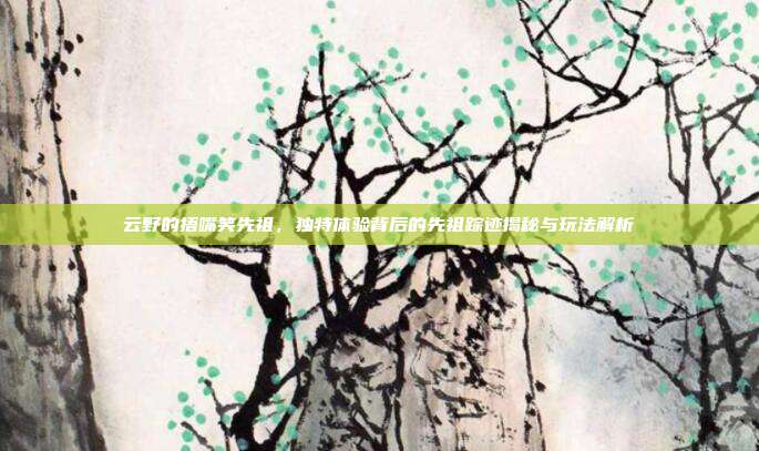 云野的捂嘴笑先祖，独特体验背后的先祖踪迹揭秘与玩法解析