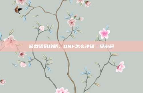 游戏资讯攻略,DNF怎么注销二级密码