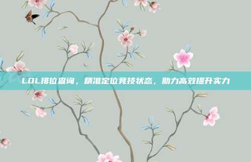 LOL排位查询，精准定位竞技状态，助力高效提升实力