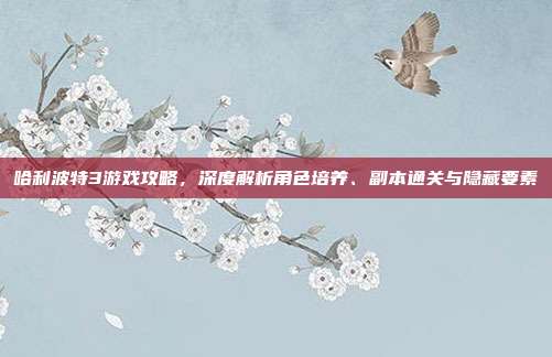 哈利波特3游戏攻略,深度解析角色培养、副本通关与隐藏要素