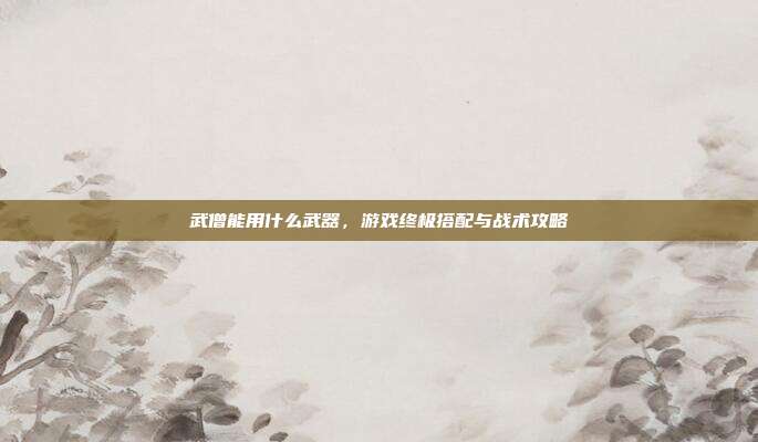 武僧能用什么武器,游戏终极搭配与战术攻略