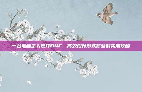 一台电脑怎么双开DNF，高效提升游戏体验的实用攻略