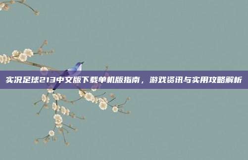 实况足球213中文版下载单机版指南，游戏资讯与实用攻略解析