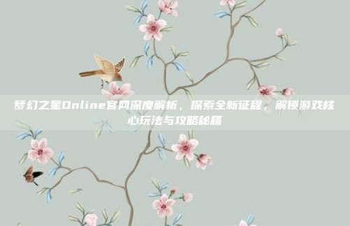 梦幻之星Online官网深度解析，探索全新征程，解锁游戏核心玩法与攻略秘籍