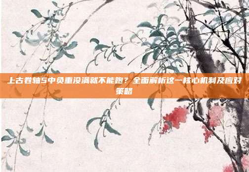 上古卷轴5中负重没满就不能跑？全面解析这一核心机制及应对策略