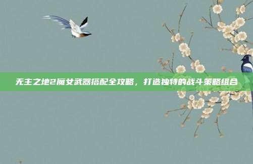 无主之地2魔女武器搭配全攻略,打造独特的战斗策略组合