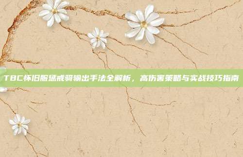 TBC怀旧服惩戒骑输出手法全解析,高伤害策略与实战技巧指南
