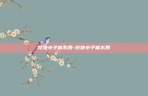 挖地小子偷东西-挖地小子偷东西