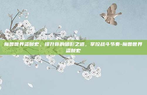 魔兽世界盗贼宏，提升你的暗影之道，掌控战斗节奏-魔兽世界盗贼宏