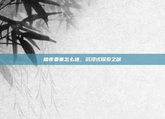 暗夜要塞怎么进，沉浸式探索之秘