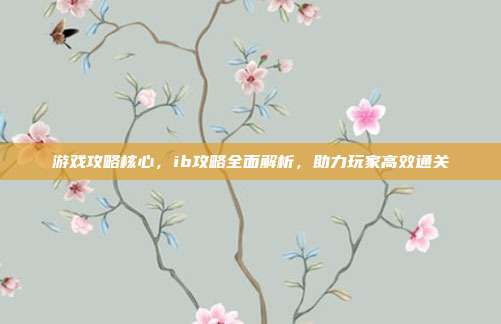 游戏攻略核心，ib攻略全面解析，助力玩家高效通关