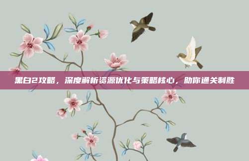 黑白2攻略，深度解析资源优化与策略核心，助你通关制胜