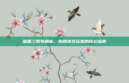 暗黑三账号解析，构建高效玩家的核心指南