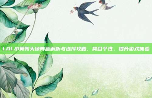 LOL小黄鸭头像阵营解析与选择攻略，契合个性，提升游戏体验