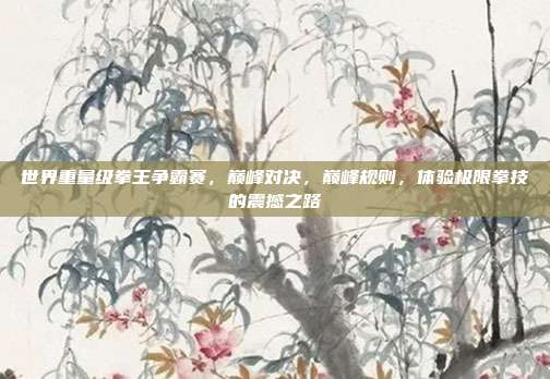 世界重量级拳王争霸赛,巅峰对决,巅峰规则,体验极限拳技的震撼之路