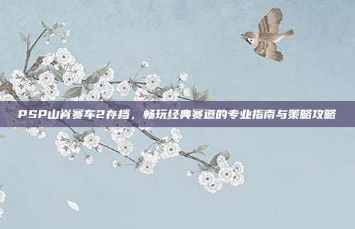PSP山脊赛车2存档，畅玩经典赛道的专业指南与策略攻略