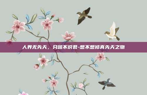 人界无先天，只因不识君-想不想修真先天之物