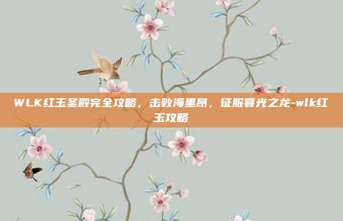WLK红玉圣殿完全攻略，击败海里昂，征服暮光之龙-wlk红玉攻略