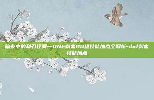 暗夜中的利刃狂舞—DNF刺客110级技能加点全解析-dnf刺客技能加点