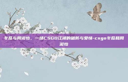 冬瓜与周淑怡，一场CSGO江湖的破防与爱情-csgo冬瓜和周淑怡