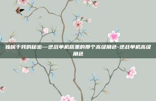 独属于我的秘密—逆战单机版里的那个高级角色-逆战单机高级角色