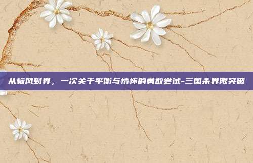 从标风到界，一次关于平衡与情怀的勇敢尝试-三国杀界限突破