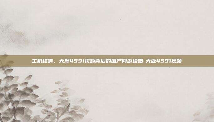 主机终响,天源4591视频背后的国产网游绝唱-天源4591视频