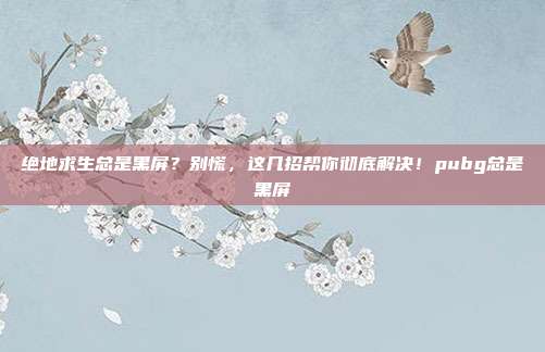 绝地求生总是黑屏？别慌，这几招帮你彻底解决！pubg总是黑屏