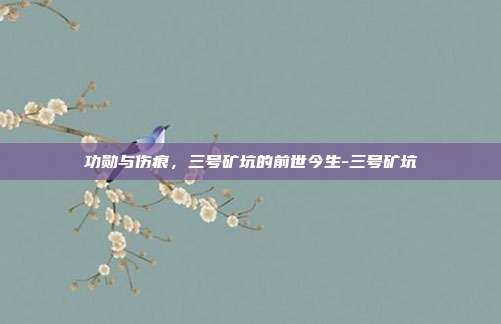 功勋与伤痕，三号矿坑的前世今生-三号矿坑